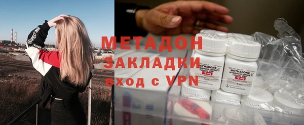 прущие грибы Алзамай