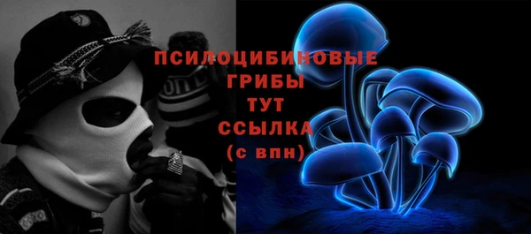 шишки Алексин