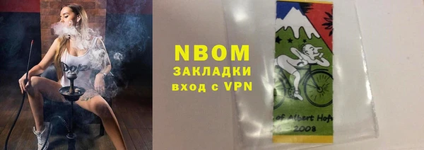 прущие грибы Алзамай