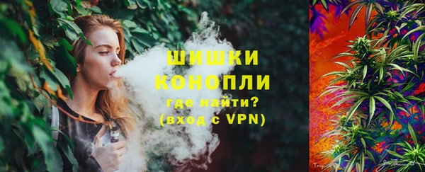 шишки Алексин