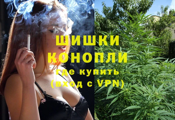 шишки Алексин